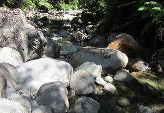 TMR000150.jpg