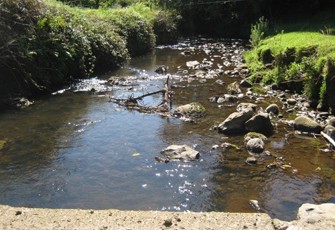 KRP000300.jpg