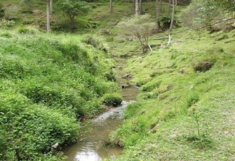 tnh0000090.jpg (1)