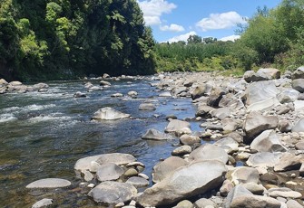 manganui-everett.jpg