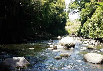 Mangorei Stream at SH3