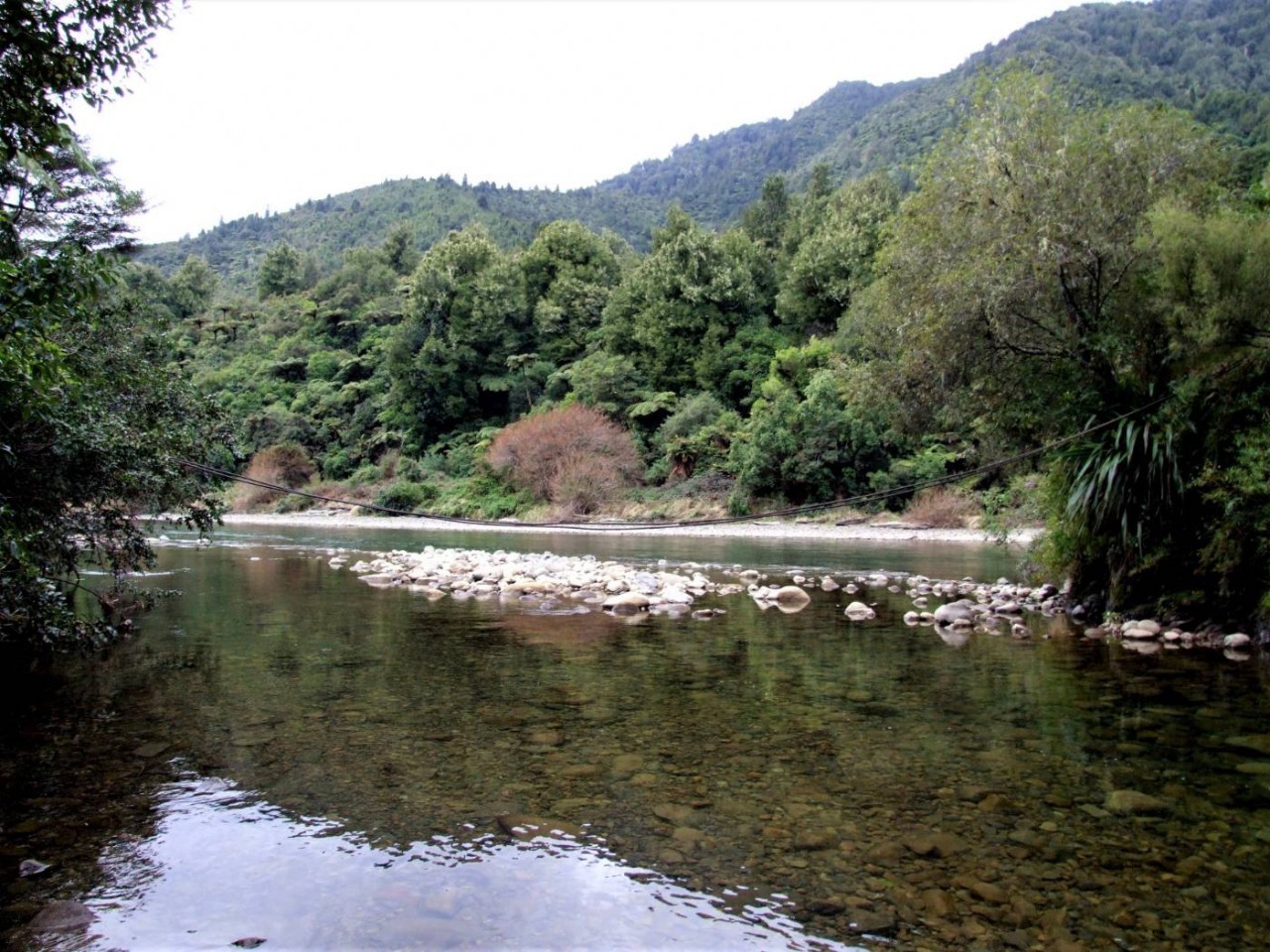 Tauranga Stream