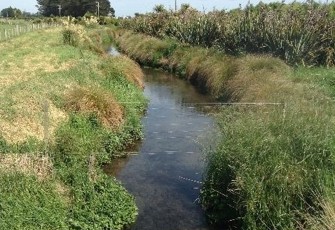 Waikekewai Stream