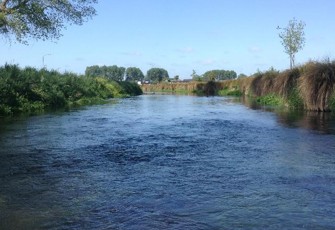 Kaiapoi River at Island Road