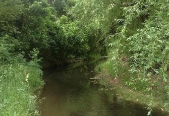 Heathcote/Ōpāwaho River at Curletts Road looking downstream