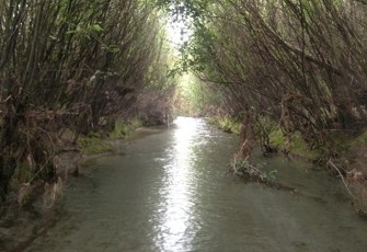 Ealing Spring upstream