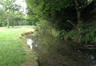 Taumatakahu Stream looking upstream