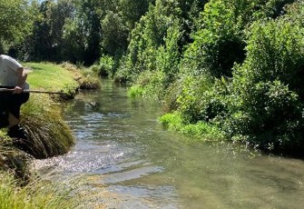 Taumatakahu Stream looking upstream (1)