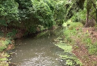 Heathcote/Ōpāwaho River looking downstream
