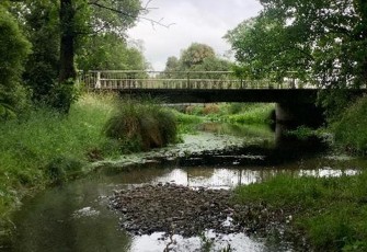 Heathcote/Ōpāwaho River looking upstream