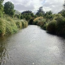 Okuti and Okana Streams