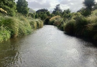 Okana River SH75 upstream