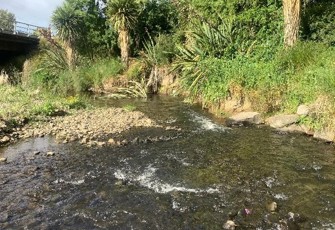 Okana River SH75 downstream