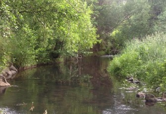 Okuti River upstream 2