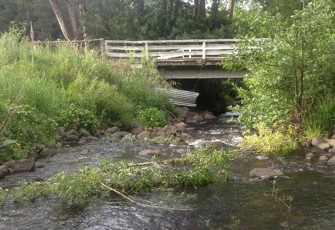 Okuti River downstream