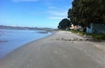 Tauranga