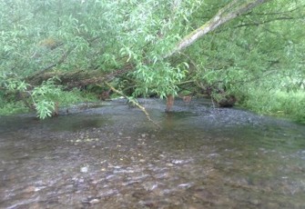 St Leonard Drain downstream