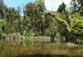 Arnold Rv @ Kotuku Fishing Access