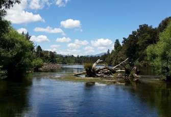Arnold Rv @ Kotuku Fishing Access (1)