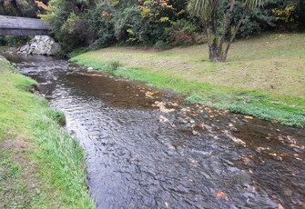 Sawyers Ck @ Dixon Park (1)