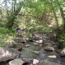 Little Akaloa Stream