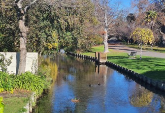 Wairarapa Stream