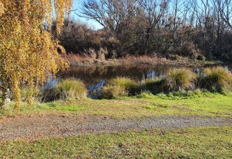 Horseshoe Lake Discharge