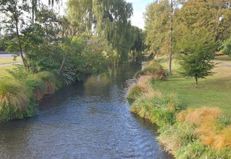 Avon At Carlton Mill Corner