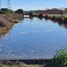 City Outfall Drain/Linwood Canal