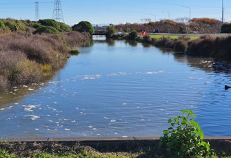 City Outfall Drain Humphreys Drive