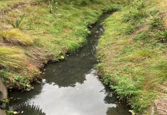 Addington Brook Upstream Riccarton Ave