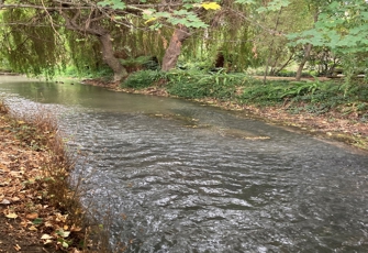 Cashmere Stream At Worsleys