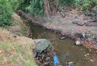 Curletts Road Stream Upstream Heathcote River Confluence