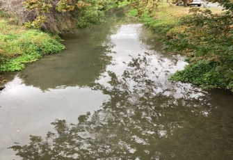 Heathcote River At Ferniehurst