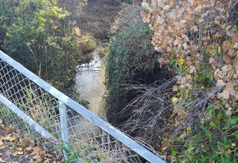 Styx River at Gardiners Rd