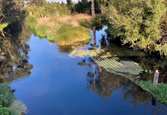 Styx River at Marshland Rd Bridge upstream