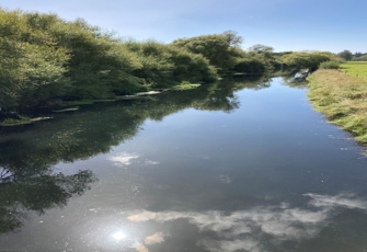 Styx River at Richards Bridge