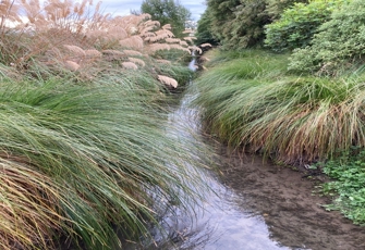 Wilsons Drain at Main North Road