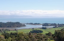 Motupipi Estuary