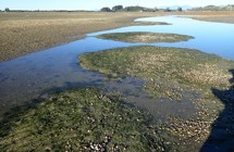 Moutere Inlet
