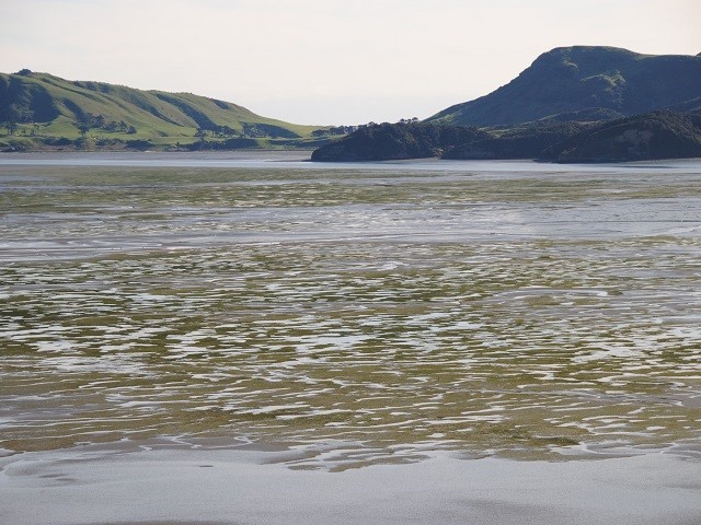 Whanganui/Westhaven Inlet
