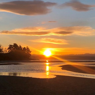 Nelson region