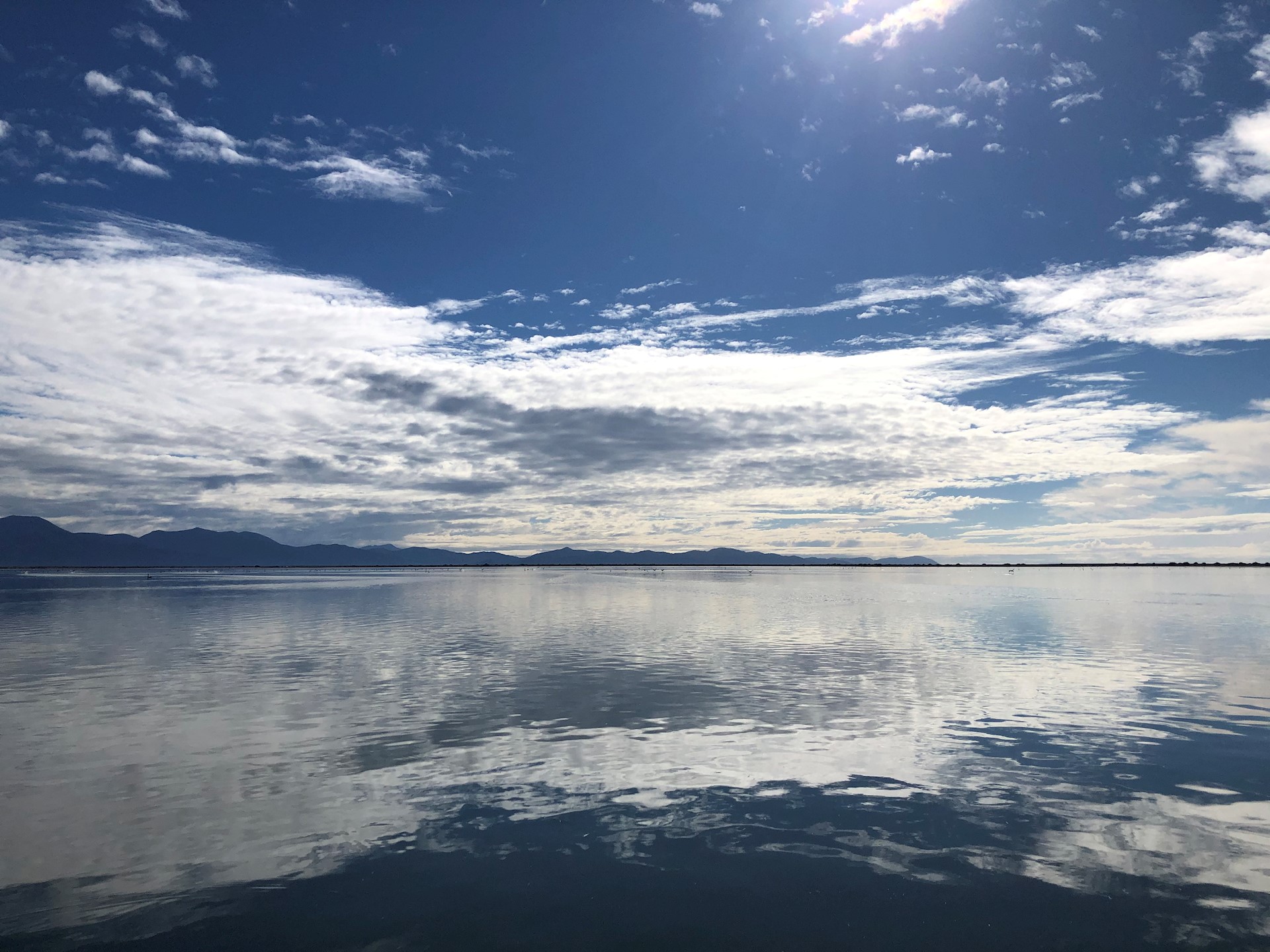 Wairau Lagoon