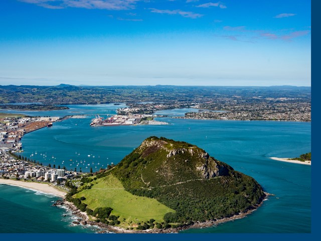 Tauranga Harbour