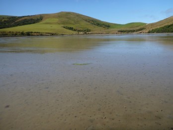 Waikawa Estuary 