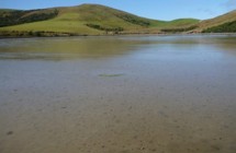 Waikawa Estuary 