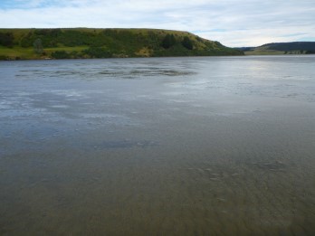 Haldane Estuary 
