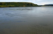 Haldane Estuary 