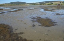 Jacobs River Estuary