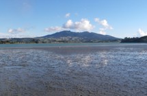 Whaingaroa (Raglan) Harbour 